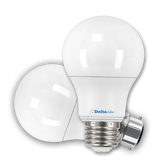 5 Watt LED BULB A55